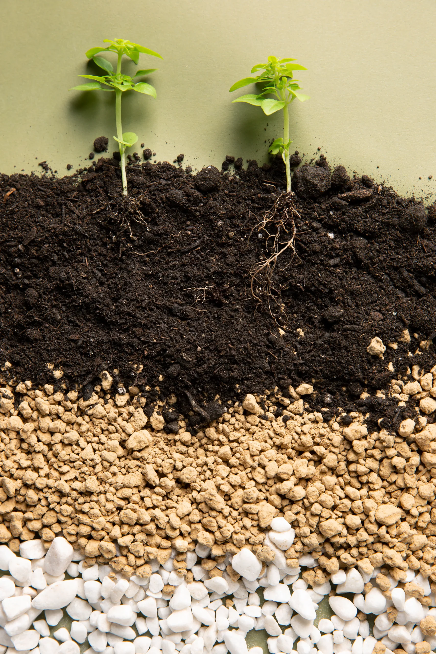 Fertilizers